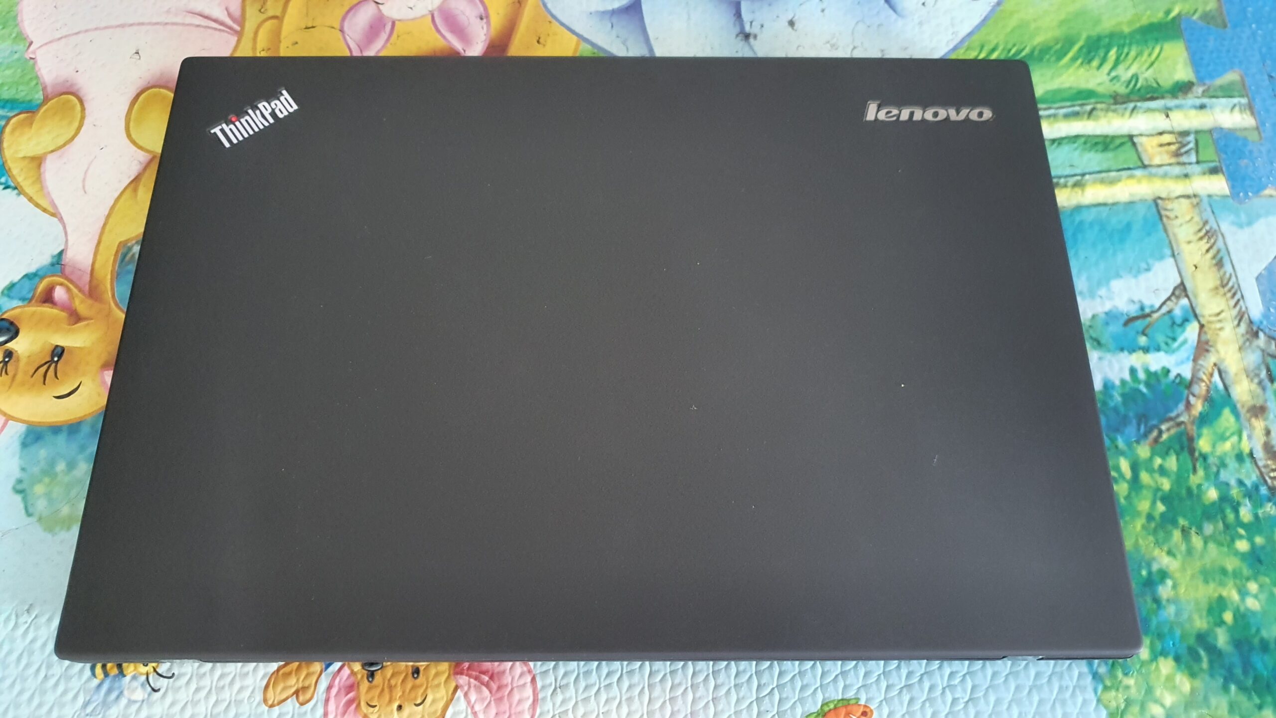 Lenovo T450 scaled